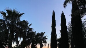 A swimming pool with a view of tall palm trees and a clear sky. - Magnificent Luxury Villa in Rome. Private pool and large garden. (Roma)