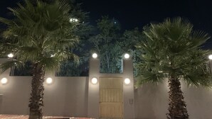 Una entrada vigilada con palmeras y una puerta iluminada de noche.