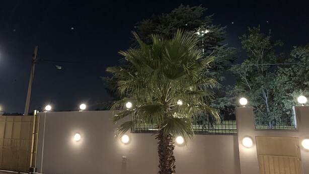 Escena nocturna con una palmera frente a un muro blanco, luces circulares, un portón metálico y una valla.