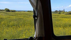 A vehicle interior with a view of a field of yellow flowers and a distant church spire. - Authentic Fisherman’s Cabin • Audierne Bay • Brittany • 2 Guests (Saint-Jean-Trolimon)