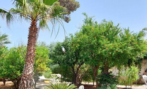 Garden - Buena Vista - Country Villa  (Valderice)