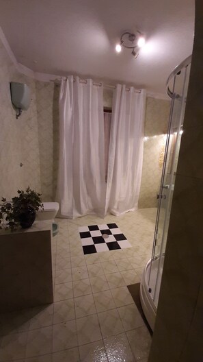 Bathroom features a shower, sink, and potted plant.