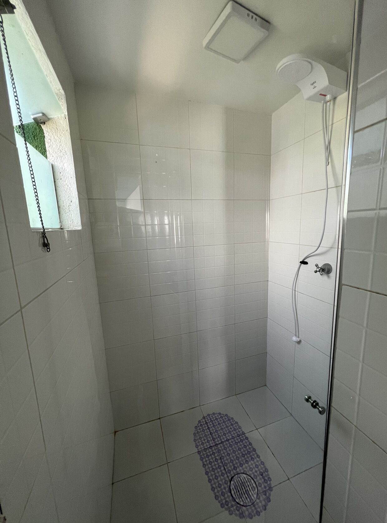 A small, tiled shower room with a glass door, a showerhead, and a handrail.