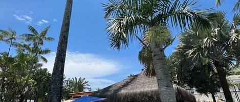 A tropical resort with palm trees, a thatched-roof hut, and outdoor seating.