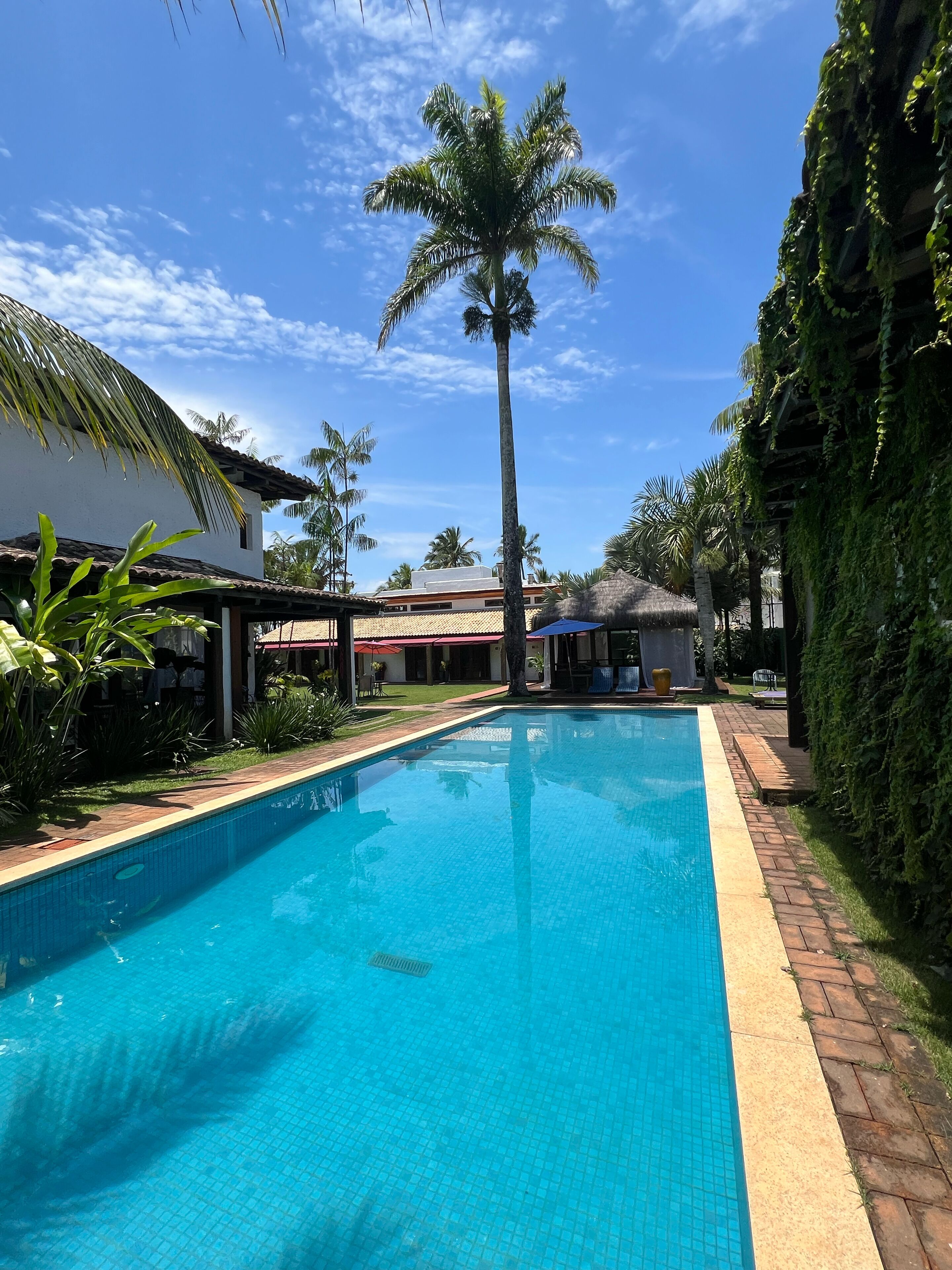 Outdoor pool, open 10:00 AM to 10:00 PM, sun loungers