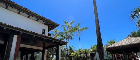 Una piscina al aire libre, sillones reclinables de piscina