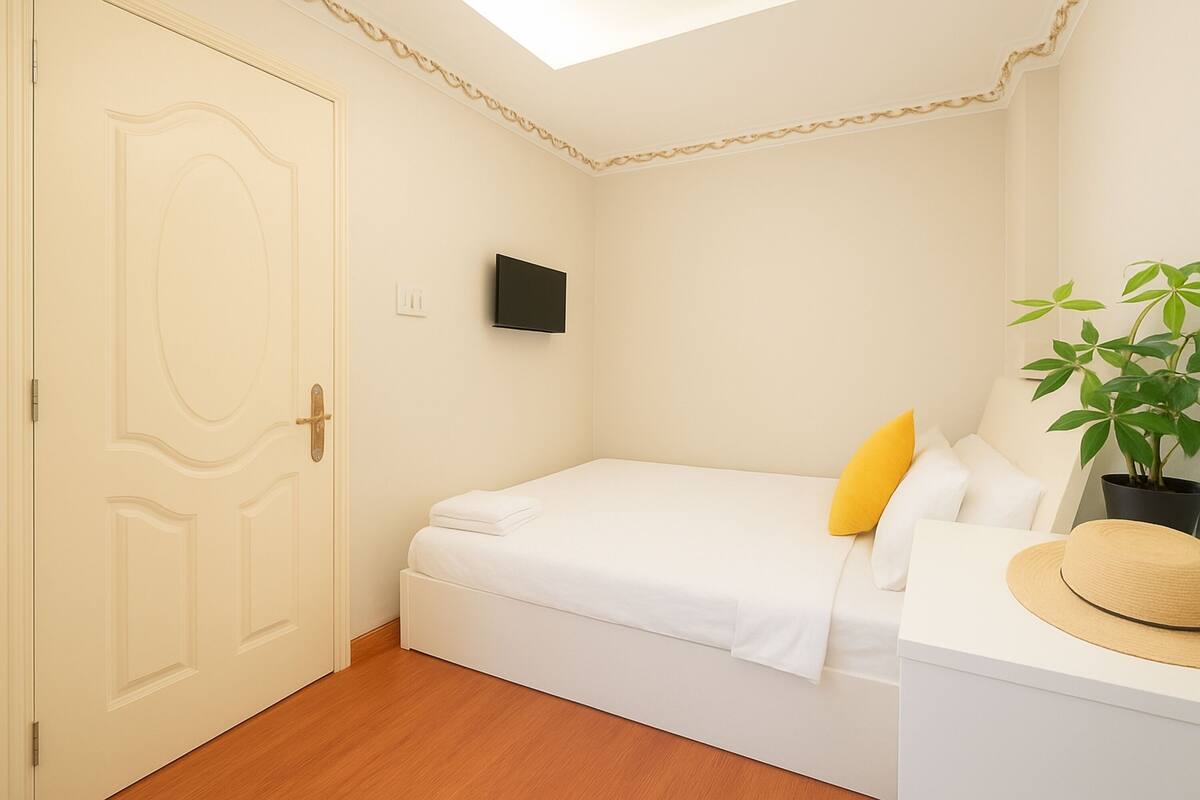 A bedroom with a bed, a television, a potted plant, and a door.