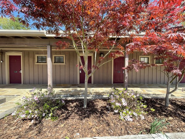 Studio | Aussenbereich