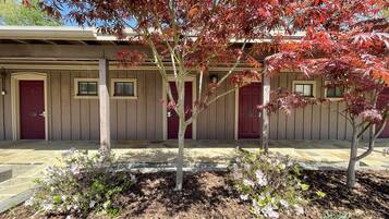 Studio | Exterior