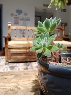 Property grounds - Hotel Posada Santa Elena (Tunja)