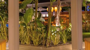 A covered outdoor area with a tiled floor, surrounded by large tropical plants and a white column structure.