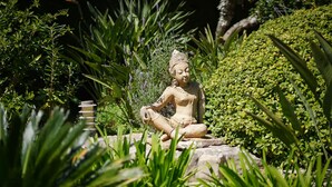 Eine Statue einer sitzenden Person in einem Garten.