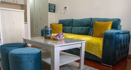 Central Studio Apartment in Niksic