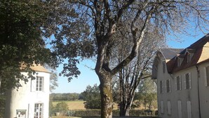 A building with a traditional architectural style, a large tree in front, and a clear sky. - Cosy cottage in Sauzé-Vaussais with shared pool (SAUZE-VAUSSAIS)