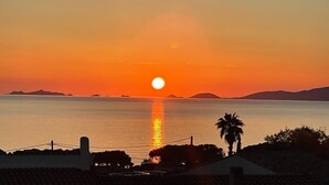 Un atardecer sobre un mar tranquilo con formas de tierra lejana y una palmera silueteada contra el cielo.