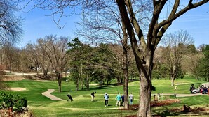 A golf course with a clear path, trees, and a golf cart. - Golf view! (Red Wing)