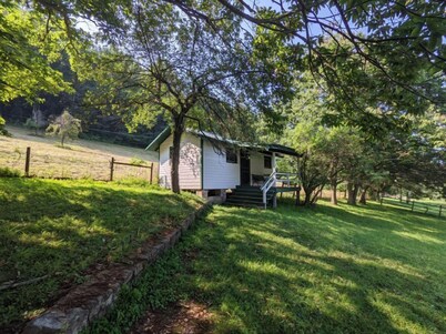 River Cabin: Single Family Getaway On The River
