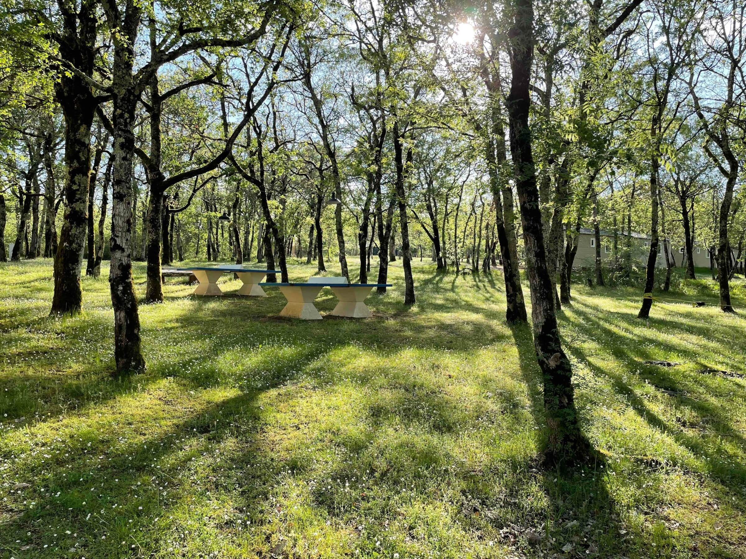 Un parc avec des tables de pique-nique et des arbres.