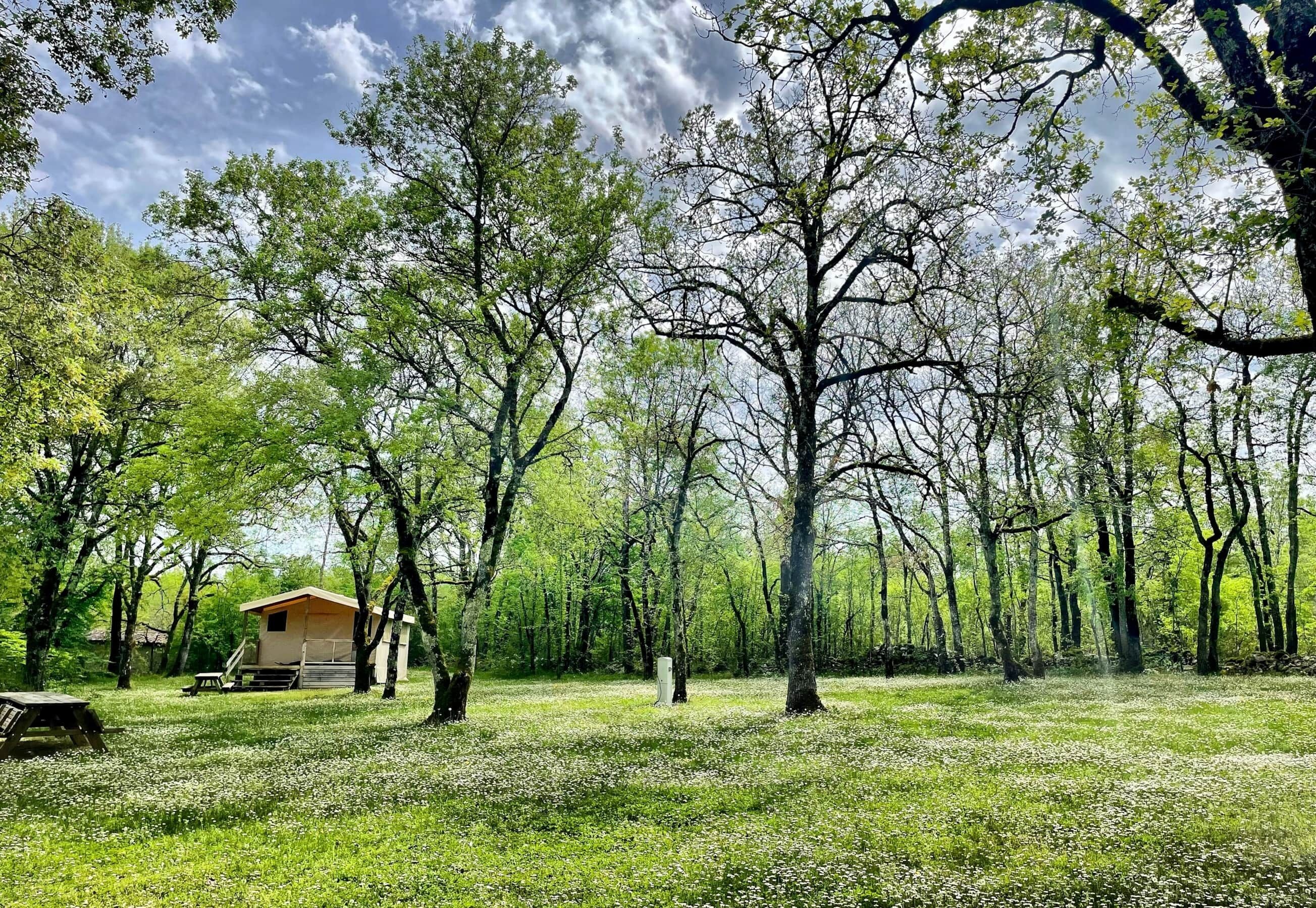 A rustic cabin in a forested area with a picnic table and a small shed nearby.