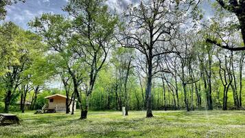 A rustic cabin in a forested area with a picnic table and a small shed nearby.