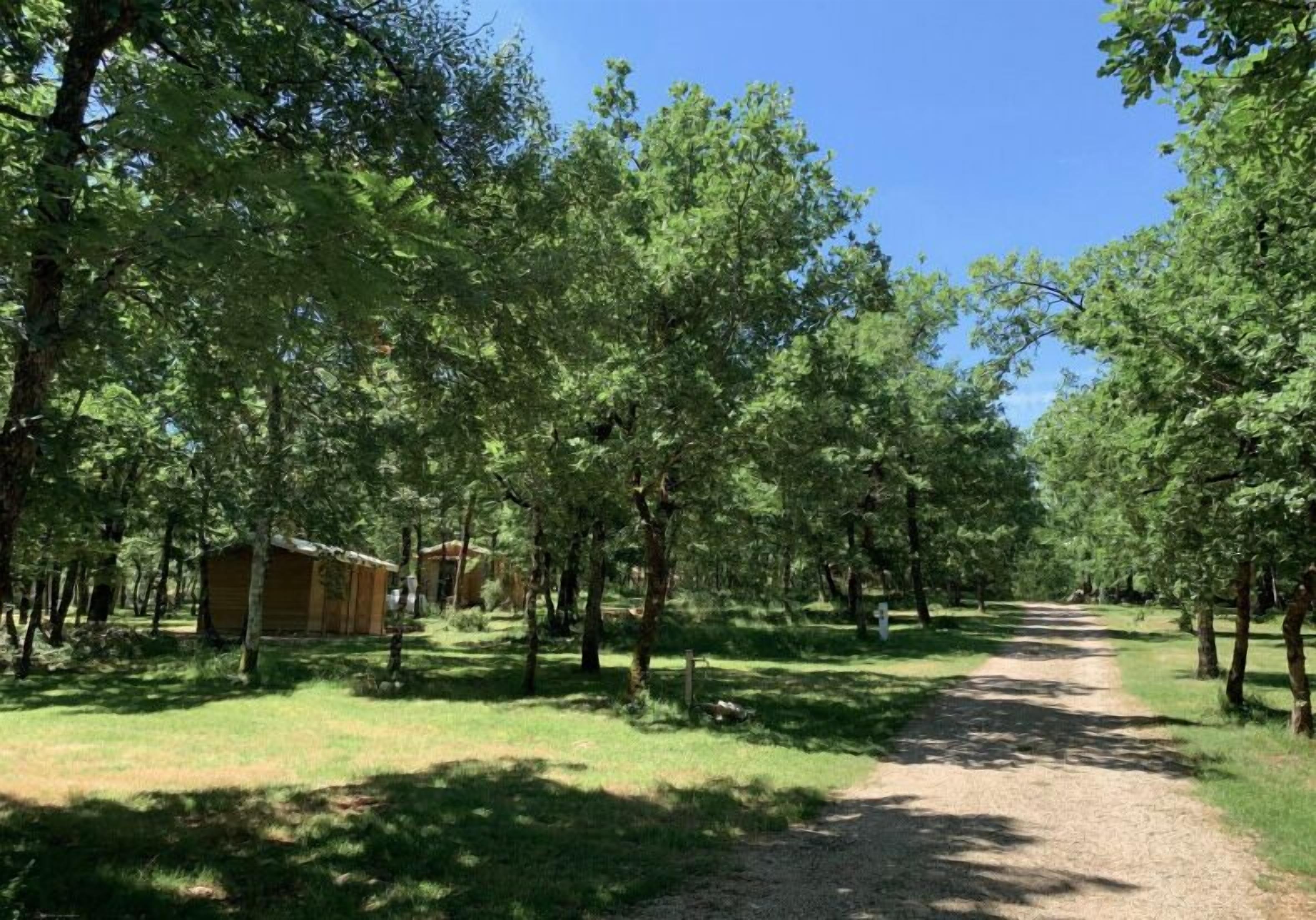 Un campamento con un sendero de tierra que lleva a cabañas de madera rodeadas de árboles.