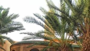 A courtyard with palm trees and arches. - Family Riad in Marrakech for 6 people (Marrakech)