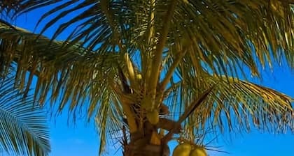 VILLA PRINCE, loft & rooftop, private pool & jaccuzi 2kitch 5brm, RIVIERA MAYA