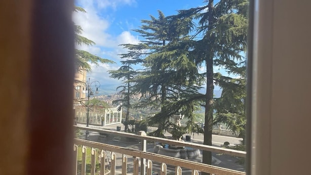 Vista desde una ventana sobre una calle con árboles y un edificio.