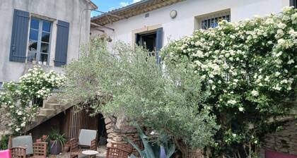 Quiet winegrower's house with swimming pool near village