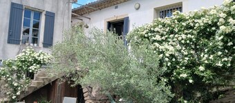 Quiet winegrower's house with swimming pool near village