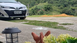 A potted plant arrangement in front of a mountain with a car parked nearby.