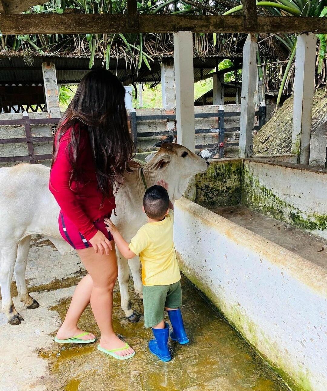 A woman and a child feeding a cow at a farm.