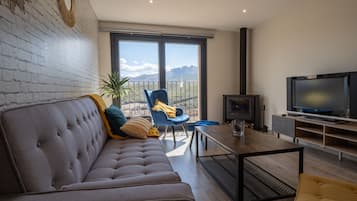 TV, fireplace, books