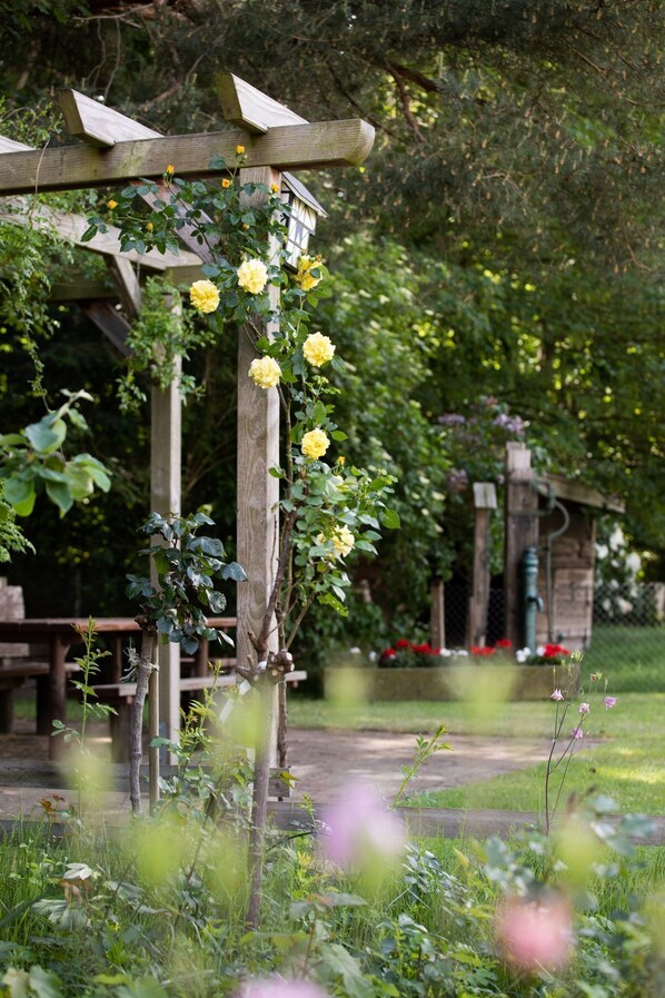 المنطقة المحيطة بالمنشأة