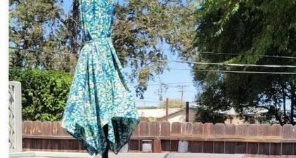 Walking distance to Downtown! Wine Country 2bd 2ba house in Paso Robles!