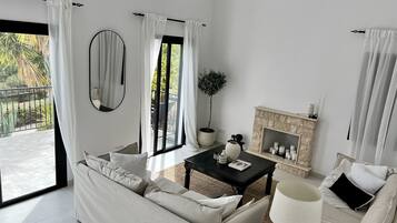 Smart TV, fireplace, books