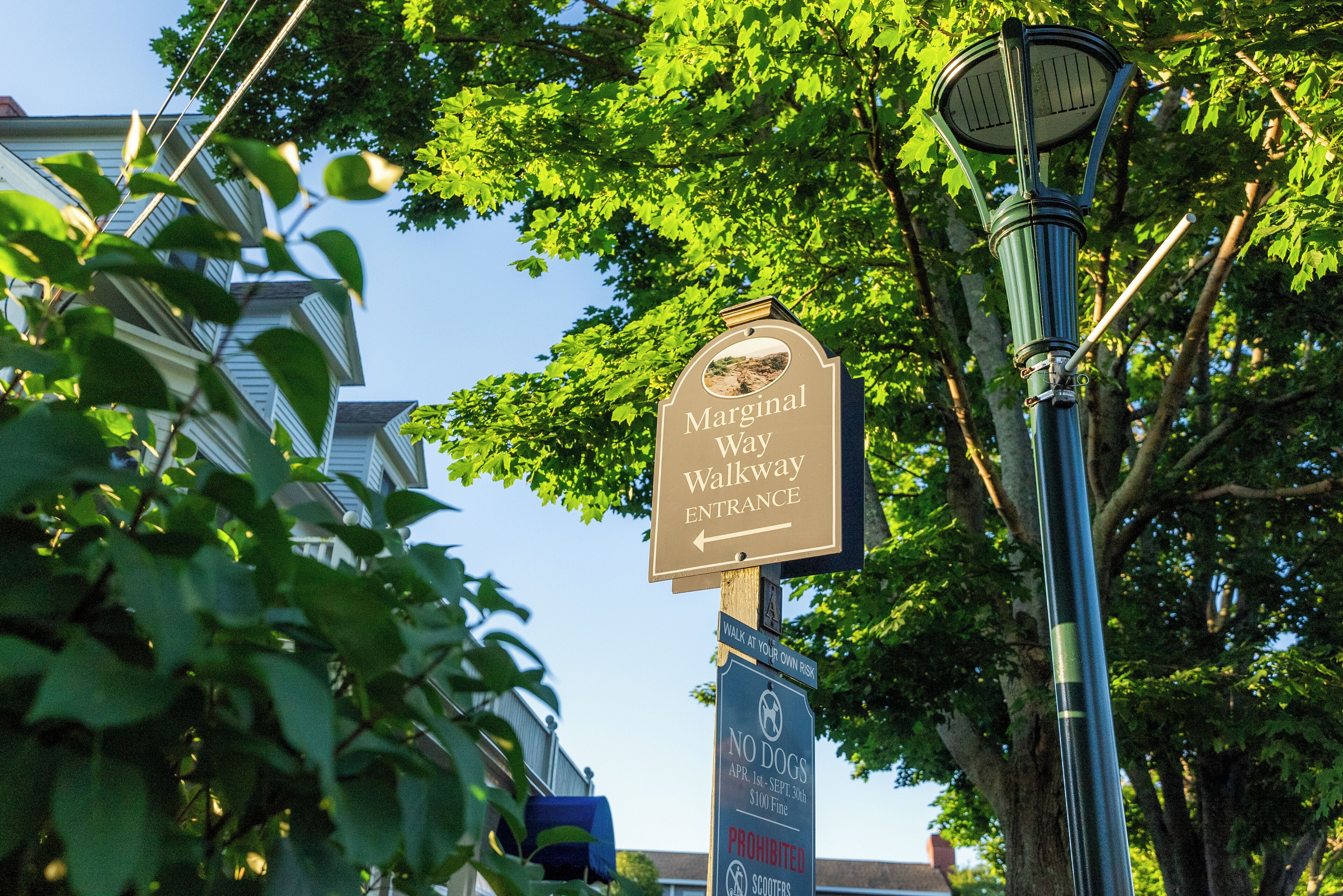 A sign for Marginal Way Walkway Entrance with a no dogs and no scooters policy.