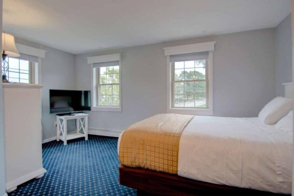 A bedroom with a bed, a television, and two windows.