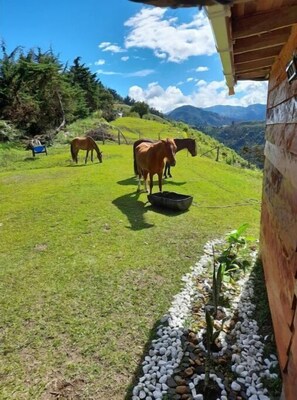 Jardines del alojamiento