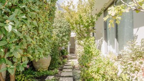 A narrow stone pathway flanked by lush greenery and a large planter, leading to a building with large windows. - Camps Bay Echo Garden Apartment (Cape Town)