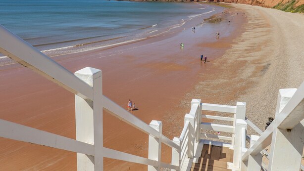 Una playa con una cerca blanca y escaleras que bajan hacia la orilla.