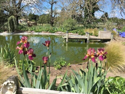 Pearlessence Vineyard Inn