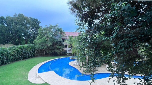 A swimming pool with a curved design, surrounded by a well-maintained lawn and various trees. - CACAO SUITE IN CORONADO LUXURY  CLUB & SUITES - Kitchen & golf course A (Playa Coronado)