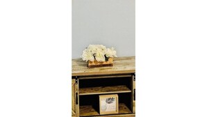 A wooden cabinet with a floral arrangement on top and a framed leaf design inside. - Sunny and cozy place (Delray Beach)
