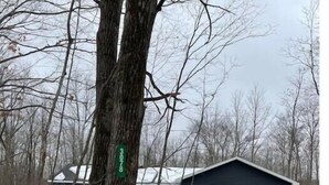 Une maison avec un garage, un arbre portant une pancarte avec l’inscription « 3078 », et un sol recouvert de neige.