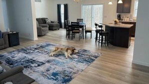 Un vaste salon avec un chien allongé sur un tapis, un coin repas avec des chaises, une cuisine avec un bar et une grande fenêtre.