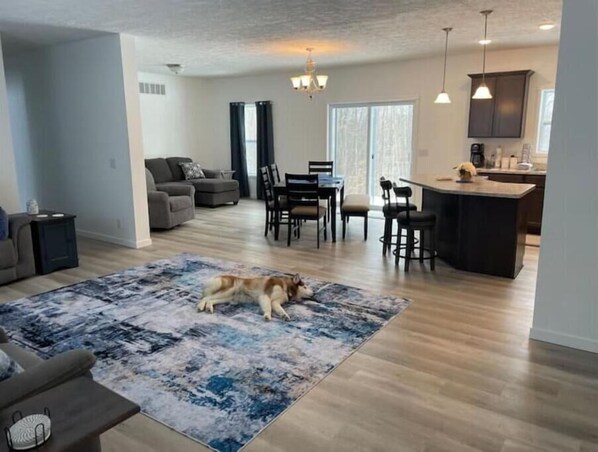 Ein geräumiges Wohnzimmer mit einem Hund, der auf einem Teppich liegt, einem Essbereich mit Stühlen, einer Küche mit Bar und einem großen Fenster.