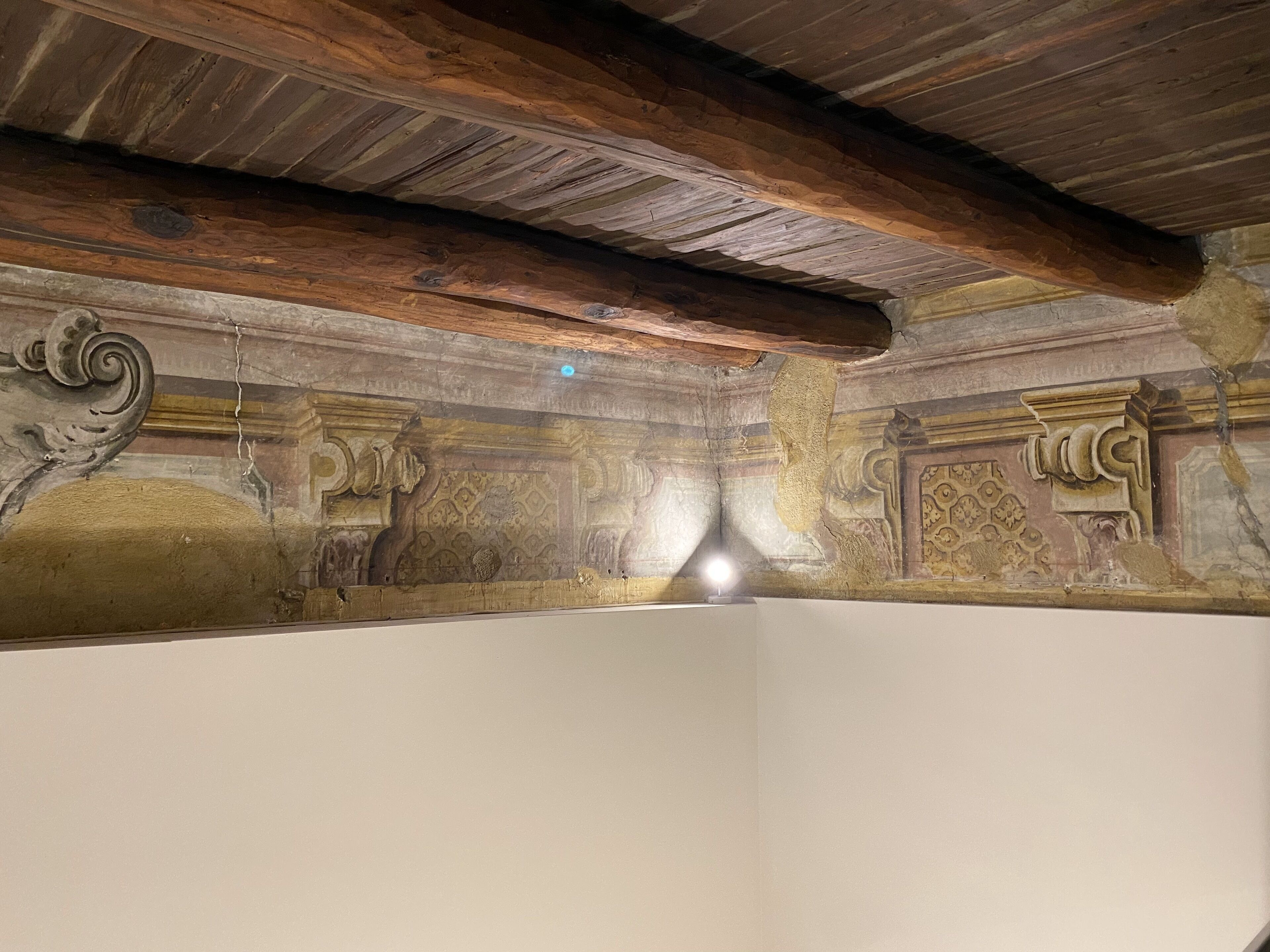 Foto - Artemisia Domus - Giardino