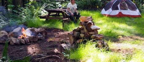 Restauration en plein air