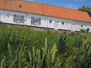 A white building with a red tiled roof, surrounded by tall green crops.